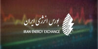 خیزش ناگهانی هیدروکربن‌ها در واپسین روز بهمن: پشت پرده بازار چه می‌گذرد؟