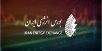 خیزش ناگهانی هیدروکربن‌ها در واپسین روز بهمن: پشت پرده بازار چه می‌گذرد؟