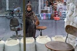 فاجعه در راه است: برنج خارجی با دلار ۱۶۰ هزار تومانی سفره‌ها را خالی می‌کند!