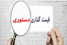 فوری: رهاسازی کامل بازار در بحران فعلی، به منزله خودکشی اقتصادی است!