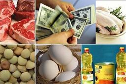پشت پرده تامین ۴۴.۴ میلیارد دلار ارز واردات: حقایقی که نمی‌خواهند بدانید؟