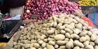 صادرات سیب زمینی و پیاز متوقف شد