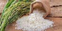 لاهوتی خواستار حذف ارز ترجیحی برای واردات برنج شد