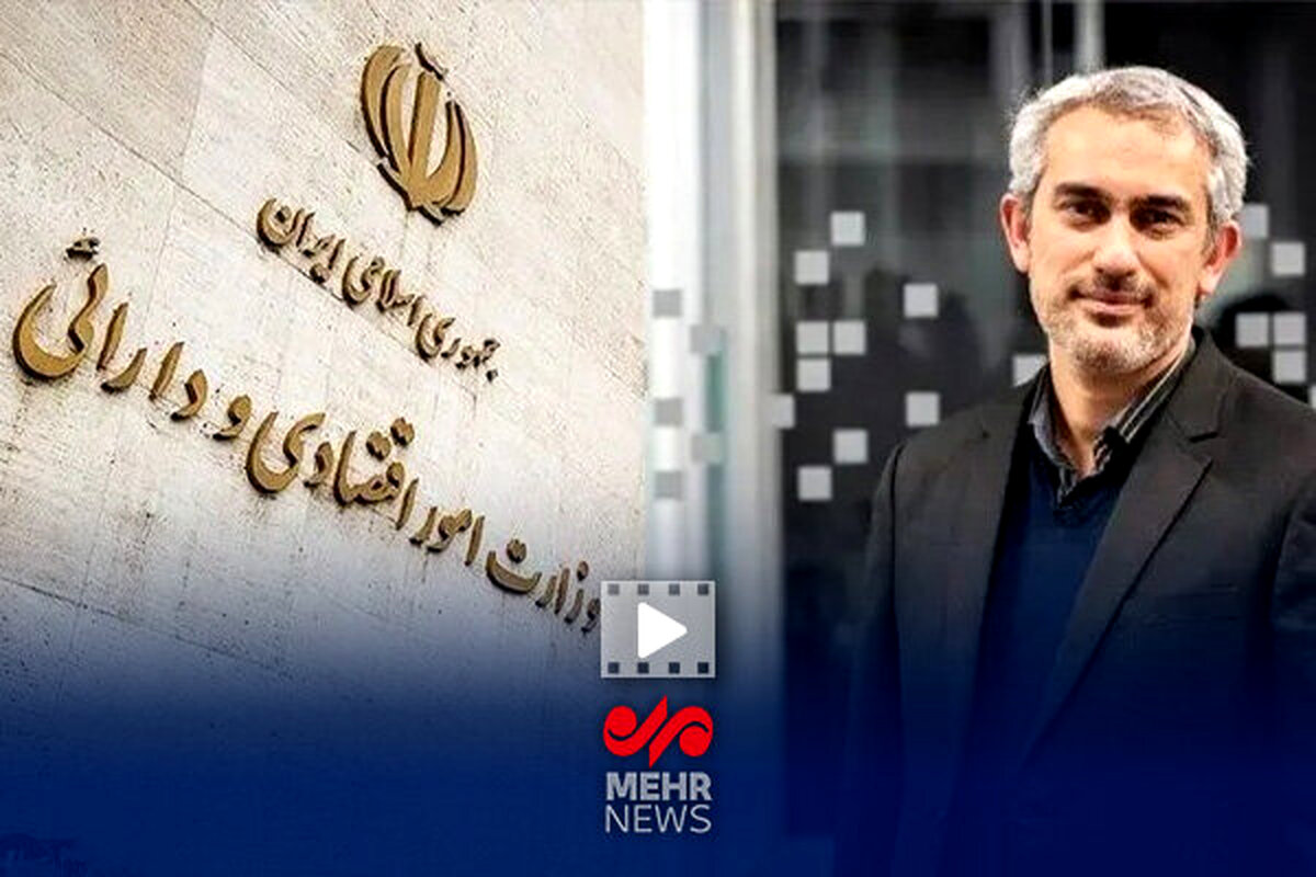 وزیر اقتصاد: دولت مجری طرح‌های جنجالی است؟