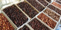 سبزی هم لاکچری شد؟ اعلام قیمت‌های سرسام‌آور در تهران!