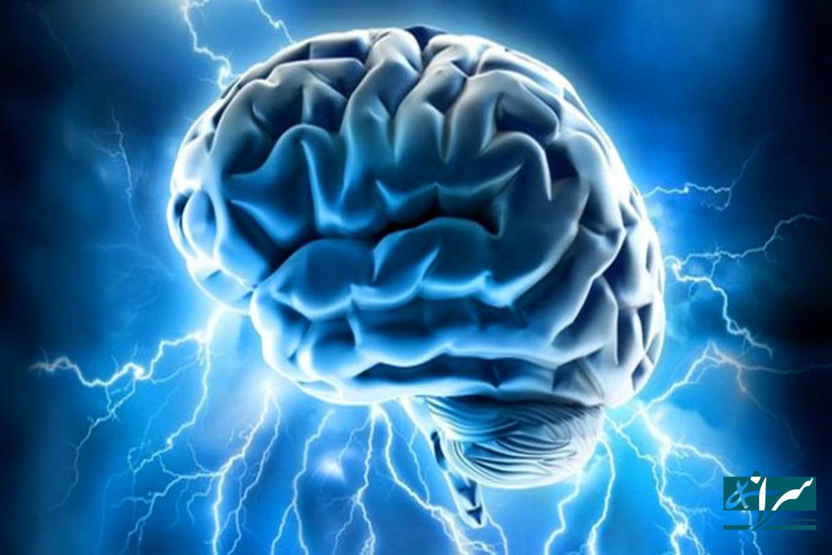 این خوراکی مغز شما را نابود می کند