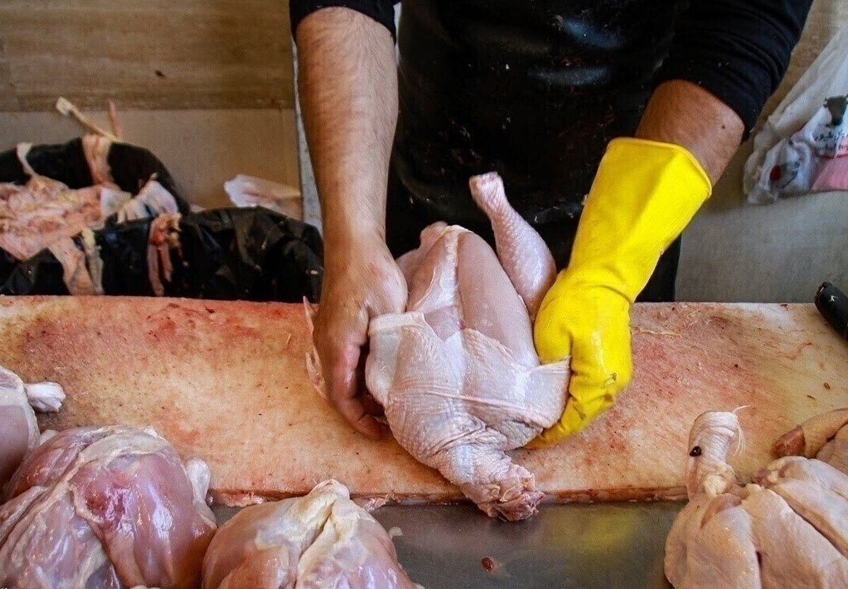 فاجعه آشکار: ۲ سال ارز ترجیحی 'هیچ' اثری بر مرغ و گوشت نداشت! تنها راه نجات از گرانی: پول را مستقیم به جیب تولیدکننده یا مردم بریزید!