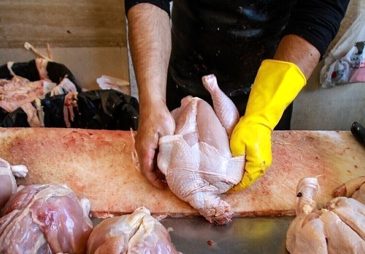 فاجعه آشکار: ۲ سال ارز ترجیحی 'هیچ' اثری بر مرغ و گوشت نداشت! تنها راه نجات از گرانی: پول را مستقیم به جیب تولیدکننده یا مردم بریزید!