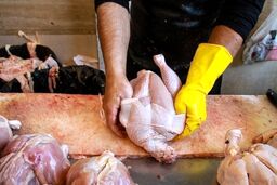 فاجعه آشکار: ۲ سال ارز ترجیحی 'هیچ' اثری بر مرغ و گوشت نداشت! تنها راه نجات از گرانی: پول را مستقیم به جیب تولیدکننده یا مردم بریزید!