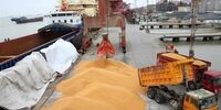 فاجعه در راه است؟ ۵.۵ میلیون تن نهاده دامی در آستانه ورود! 