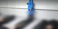 فوری: زنگ خطر لاریجانی برای "ایکس" به صدا درآمد! پشت پرده موج جدید حساب‌های جعلی