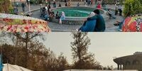 نظر زاکانی درباره قیمت دلار