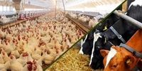 سفیر سودان در مهر: پشت پرده دیدار جنجالی چه بود؟