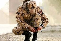 شوک جدید درباره سوابق بیمه‌ای سربازی: حقی که از شما پنهان شده بود!
