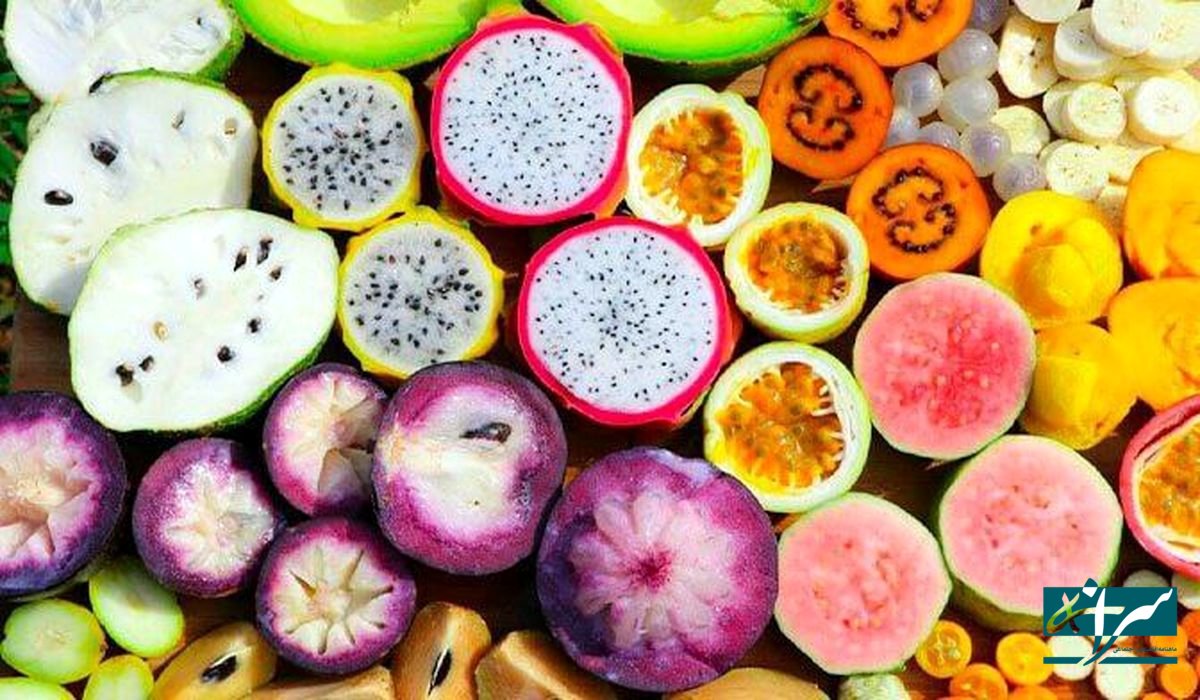 گوش بری با میوه های لاکچری / هر کیلو ۱.۴ میلیون تومان!