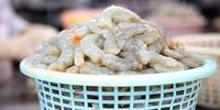 جنجال ارزی ۳۵۰ میلیونی: سهم آبزیان از سفره صادراتی چیست؟