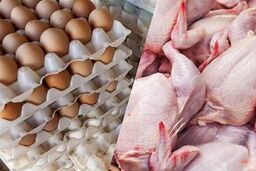 بحران گوشت سفید در ایران: 20 درصد از سفره مردم پرید!