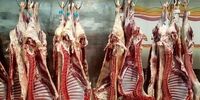 شوکه کننده! قیمت گوشت امروز ۱۳ آذر ۱۴۰۴: آیا باور می‌کنید؟