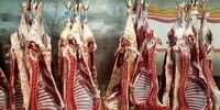 کشف شوکه‌کننده: چرا گوشت ارزان شد ولی کسی نخرید؟