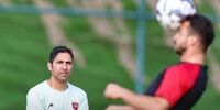برانکو سرمربی پرسپولیس می شود؟