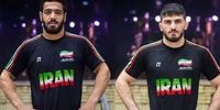 شوک خبری: این نخودی از کجا طلا آورد؟ راز بزرگ فاش می‌شود!