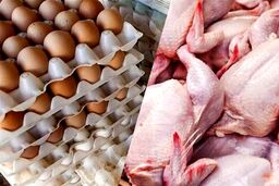 رقابت مرگبار مرغداران با حذف ارز ترجیحی