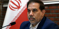 سگ گردانی در زنجان ممنوع شد