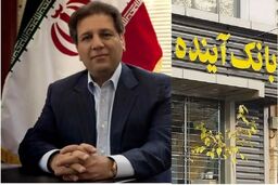 سجدۀ شکر انصاری کافیست! محاکمه بخاطر نابودی ریال آغاز شود
