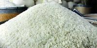 نوری: عدالت‌محوری و شایسته‌سالاری، اولویت‌ افشا شده وزارت جهاد کشاورزی!