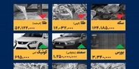جنجال در ورزش ایران: پژوهشگاه تربیت بدنی و فدراسیون ترای‌اتلون زیر ذره‌بین!