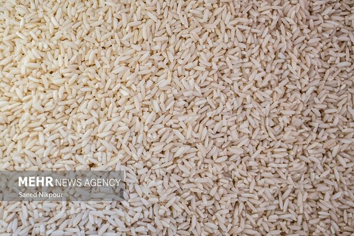 برنج پاکستانی ۶۶ هزار تومانی؛ سهمیه یا فاجعه اقتصادی؟