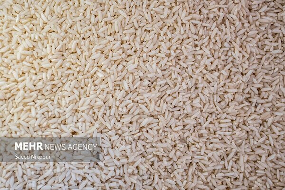 برنج پاکستانی ۶۶ هزار تومانی؛ سهمیه یا فاجعه اقتصادی؟