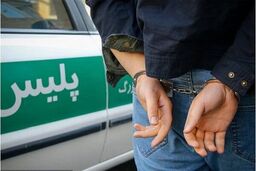 کلاهبردار فضای مجازی در تهران دستگیر شد
