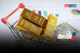 شوک سیاسی جدید بازارها را منفجر کرد: فرصت سود میلیونی یا سقوط وحشتناک؟ + ویدئو