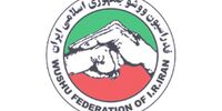 صدیقی: افزایش نرخ ارز کابوس بودجه کشور! | وعده جنجالی او از "انفجار مدال" ووشو در ناگویا