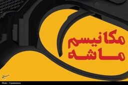 خشاب خالی، بازی سرنوشت: ابعاد هولناک حقوقی، ژئوپلتیک و اقتصادی آشکار شد