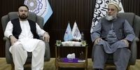 طالبان: چابهار، شاهرگ تجاری جدید افغانستان؛ بنادر پاکستان در خطر؟