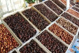 قیمت نجومی خرمای مضافتی بم: باور می‌کنید هر کیلو ۳۱۰ هزار تومان است؟