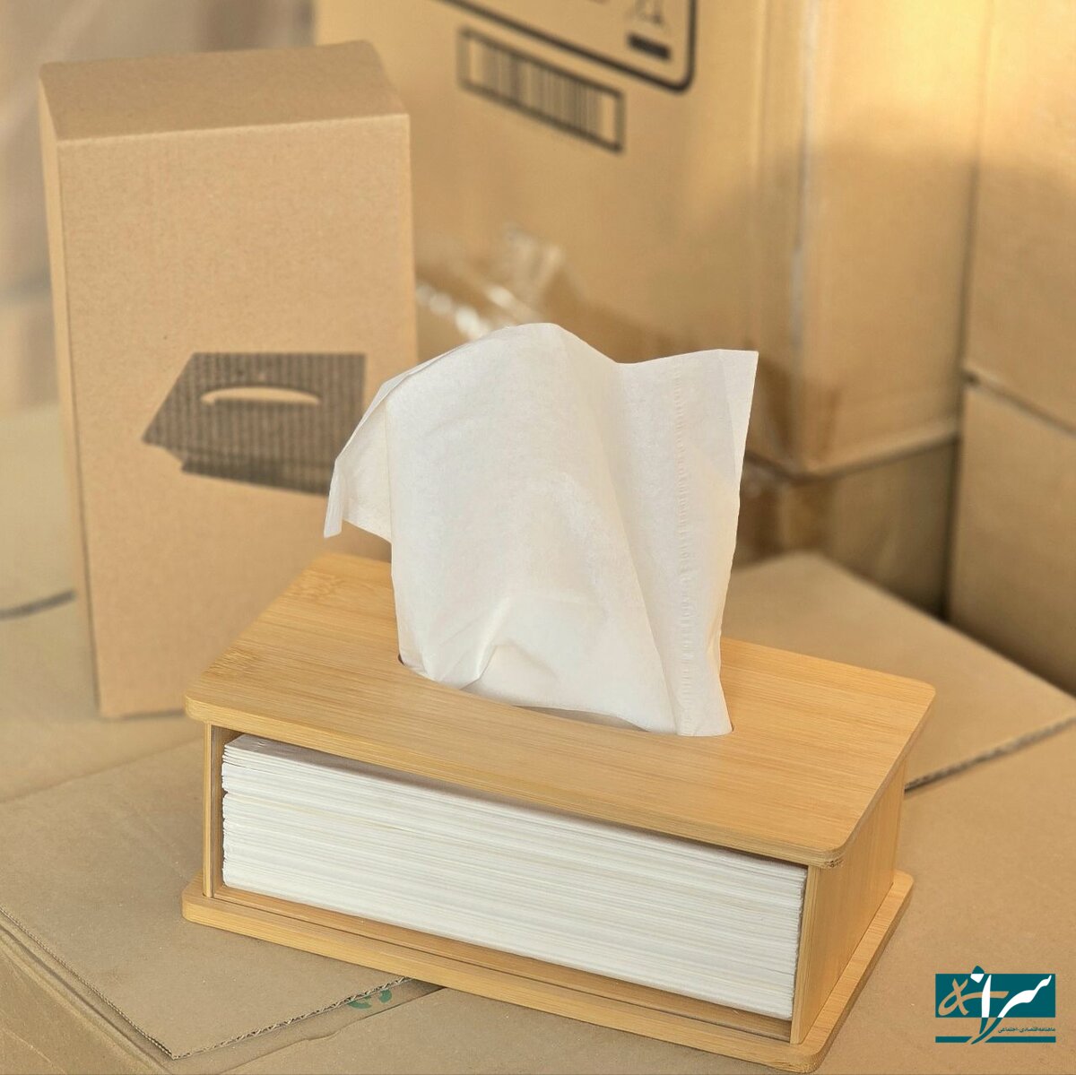 هر برگ دستمال کاغذی به ۱۰۰۰ تومان رسید