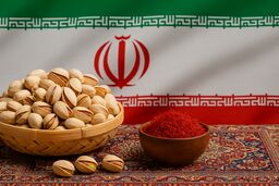 خارجی‌ها توان نه گفتن به این محصولات ایرانی را ندارند